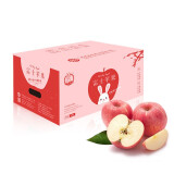 京鲜生 烟台红富士苹果4kg一级铂金大果 单果230g起 新鲜水果礼盒