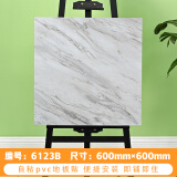 柏宜斯PVC自粘地板胶地板革地板贴加厚耐磨办公室厨房卧室水泥地家用 6123(60x60cm-1.2mm) 片