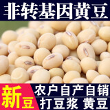 呆呆菇娘非转基因黄豆1000g黄豆打豆浆专用黄豆老品种笨黄豆五谷豆浆原料