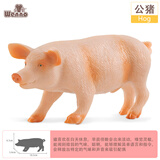 Wenno仿真家禽儿童早教认知玩具猪羊奶牛模型男女孩过家家玩具动物摆件 公猪（Hog）