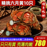 【活蟹】阳澄清歆大闸蟹 鲜活特大螃蟹公蟹母蟹 海鲜水产生鲜礼盒 稀缺六月黄4.0-4.3两 十只预定装