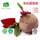 有机汇 有机甜菜根 红菜头 新鲜榨汁蔬菜 中国有机认证 农场现采 发顺丰 750g