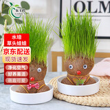 乐子君创意DIY办公室迷你植物长草头娃娃办公室绿植盆栽阳台猫草卡通 草娃娃款随机10个+圆边陶瓷托盘