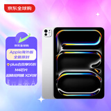 Apple/苹果iPad Pro 2024 11英寸 M4芯片 「包装微瑕 」256G WLAN版 银色 全新原封 轻微脏污 介意勿拍