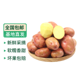 穆德山东黄心土豆 新鲜土豆马铃薯 产地直发新鲜农家蔬菜洋芋 马铃薯 净重1kg带箱