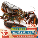 尝鲜生 超大波龙虾鲜活冻澳龙加拿大波士顿龙虾1-7斤年货海鲜礼盒大礼包 波龙 2斤(净重)  -2.5斤/只