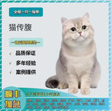 猫咪传腹针剂44I1油性针剂消腹水猫传腹口服抑制剂猫腹传特效针剂 【口服片】2公斤加强版*12片\盒