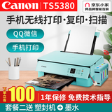 佳能（Canon） TS5380彩色喷墨打印机复印扫描一体机连供无线照片家用办公自动双面 套餐一：主机（粉绿）+可加墨墨盒+墨水8瓶