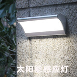 驭阳太阳能灯庭院灯户外高亮照明路灯感应壁灯新农村家用防水过道灯 48灯珠900流明 照80平  白光 太阳能庭院灯