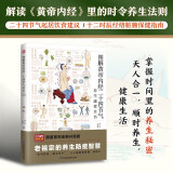 图解黄帝内经二十四节气养生速查全书   二十四节气起居饮食建议，十二时辰经络脏腑保健指南