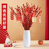 花行榜鲜枝年宵干花植物 60cm大红银柳30枝+白波浪瓶+10个挂件源头直发