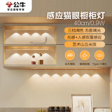公牛（BULL）感应猫眼橱柜灯磁吸充电山丘光效展柜玄关氛围小夜灯 银40cm三色