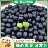 鲜农子东北绿芯黑豆磨豆浆高蛋白青仁黑豆绿心五谷杂粮磨粉原料小包装 【量贩装5斤】绿芯黑豆2.5kg