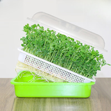 德沃多肥料育苗盘芽苗菜苗种植盘保温育苗盆水培发芽盆普通加密盘