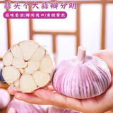 食尚半岛山东金乡鱼台大蒜农家自种干蒜新鲜蔬菜紫皮批发多瓣祘头当季 【中果】精品大蒜2斤