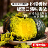 密农人家 正宗贝贝南瓜 板栗小南瓜 粉糯香甜 栗面贝贝南瓜3斤/5斤 2.5kg装
