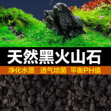 迪普尔火山石鱼缸造景水草泥养鱼龟底砂底部石头火山岩大颗粒底沙过滤材