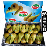 沃鲜谷【顺丰】比利时啤梨 青啤梨 宝宝食物 新鲜水果 3斤箱装