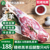 伊民康洋宁夏滩羊肉 生鲜整半只羊 原切羊排羊腿羊肉卷羊蝎子全羊礼盒清真 精修羊后腿整只4斤