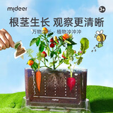 弥鹿（MiDeer）阳光房种植玩具小盆栽儿童小学生幼儿园植物观察窗六一儿童节礼物 【经典款】植物冲冲冲