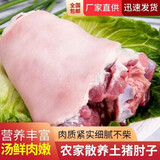 新鲜肥猪前肘子现杀速冻猪蹄膀商用蹄膀生鲜美食 1只【约2.5斤左右】 猪前肘子