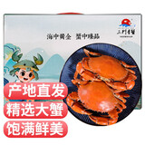 【活蟹】掌昕鲜三门青蟹 生鲜活螃蟹海鲜水产送礼盒装 家宴款 公母随机（5-6只）3斤