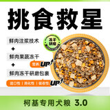 威尔逊馋嘴狗粮柯基犬专用狗粮中小型犬狗粮牛肉味天然粮 【3.0升级】冻干鲜肉包裹 成犬10斤