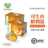 信得幸福农场 无菌蛋可生食新鲜鸡蛋富硒无抗寿喜烧溏心蛋温泉蛋 60枚 黄心系列 60g±5g/枚