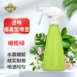 德沃多细高喷壶橄榄绿500ml园艺工具盆栽植物浇花喷水壶家居清洁喷雾瓶