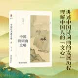 中国诗词曲史略 张伯伟教授作品 博雅撷英系列