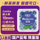 京鲜生 国产蓝莓 12盒装 果径18mm+ 新鲜水果 源头直发包邮