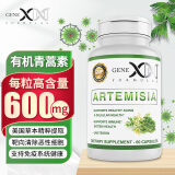 GENEX FORMULAS美国进口有机青蒿素胶囊600mg*60粒增强免疫力防疟疾天然青蒿琥酯