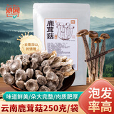 滇园 鹿茸菇250g 云南特产山珍菌菇干货 滋补煲汤炒菜火锅食材