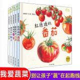 我爱蔬菜系列共5册 好喜欢吃蔬菜 绘本 0-3岁婴幼儿启蒙认知图画书 亲子早教启蒙科普读物