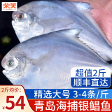 朵芙青岛海捕银鲳鱼 净重4斤 白鲳扁鱼平鱼 海鱼 生鲜鱼类 海鲜水产 精选3-4条/斤 2斤尝鲜