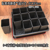 爱丽丝S-5育苗箱多肉叶插种植组合盆栽有盖子可选播种育苗盆托盘 12个2022黑盆+爱丽思箱+A3托盘