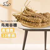 闪兔 鹦鹉保健砂断奶学吃营养鸟粮谷穗玄凤虎皮鸟食牡丹磨牙逗宠饲料 高端优质黄谷穗10串 鹦鹉专用粮