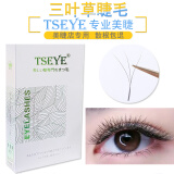 TSEYE 假睫毛自然款种睫毛嫁接三叶草睫毛美睫店专用化妆师混合装超软不散根新款单根眼睫毛美睫睫毛 混合装（8-12mm） 0.05三叶草翘度C