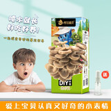 考拉精灵平菇蘑菇种植包菌包2盒装可食用儿童diy菌菇棒菌菇种植包 秀珍菇(1盒装)一只喷瓶手册