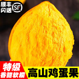 千果娘娘云南西双版纳广西海南鸡蛋果新鲜蛋黄果高原狮头果南方热带水果 精选大果【单果150-300g】 净重1斤【当天采摘】