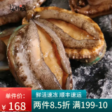 海鲜颂 活冻大鲍鱼 鲜活速冻海鲜水产 生鲜冷冻鲍鱼捞饭 贝类 火锅食材 1kg（约16只)