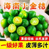 甘果有约海南小金桔新鲜金桔现摘青金桔小青柠皮薄多汁奶茶店新鲜水果 1斤（1斤50-70个左右）