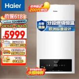 海尔（Haier）燃气壁挂炉热水器天然气采暖炉家用供暖免费上门设计欧洲标准工艺分段燃烧恒温L1PB26-HW1(T)U1