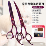 玄鸟宠物剪刀家用狗狗理发弯剪修毛剪毛剪子宠物美容剪刀工具套装 紫色（牙剪+弯剪）
