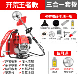 达瓦（DAWA）德国动力技术割草机除草机打草机四冲程汽油机水稻收割机电动农具 背负式三合一（双扶+高枝锯头）