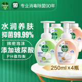 滴露泡沫抑菌洗手液 儿童宝宝除菌洗手液 抑菌99.99%玻尿酸泡泡洗手液 西柚250ml*2+青柠250ml*2