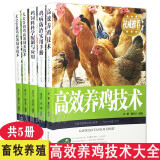 高效养鸡系列养鸡技术大全书籍 全5册 鸡病防治实用手册 鸡饲料科学配制与应用 无公害肉鸡蛋鸡养殖技术 农村畜牧养殖书籍