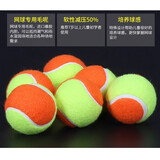 健田（JIANTIAN）网球高弹耐磨2只装网球练习款成人青少年训练球高弹耐打开学用品
