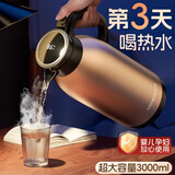 恩尔美（nRMEi）保温壶家用大容量暖壶316不锈钢保温48小时以上开水瓶保温水壶3L 华贵金【316+智能显温】 3000ml