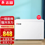 志高（CHIGO）小冰柜家用冷冻小型一级节能省电迷你卧式冷藏保鲜储母乳冷柜 一级能效-268L-单温单门